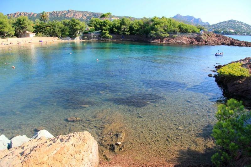 "Les Alizes" Cote Jardin Proche Bord De Mer Saint-Raphaël Exterior foto